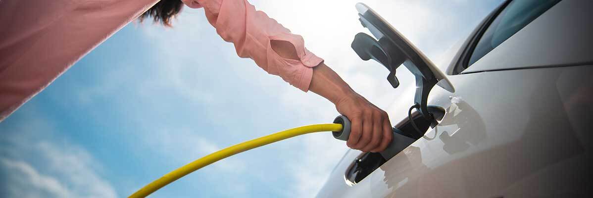 Combustible Sostenible