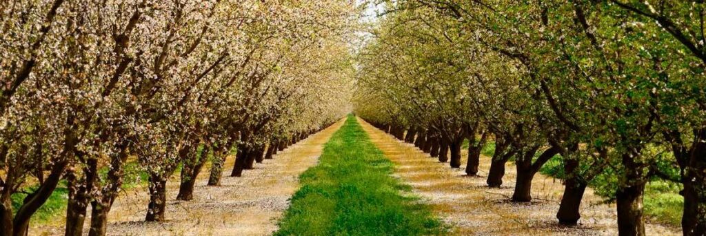 Localizacion tractores GPS