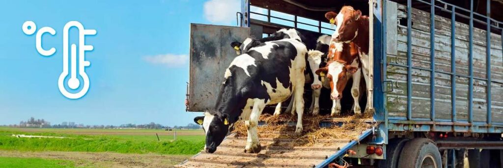 Tecnología transporte animales vivos