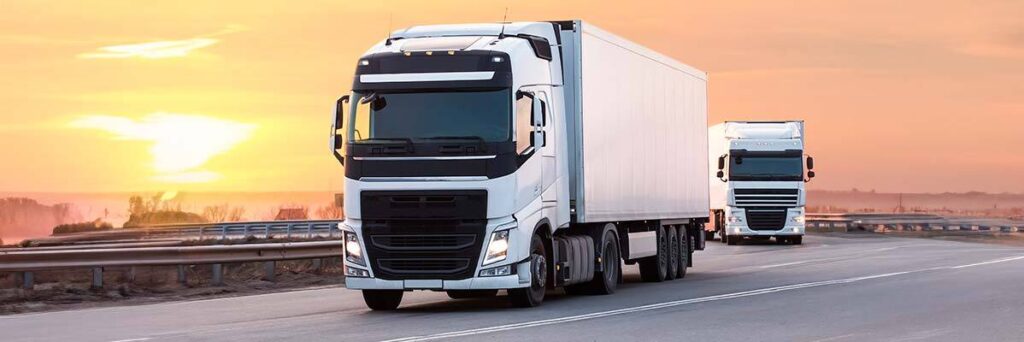 Renovación flota de Transporte ayudas Gobierno