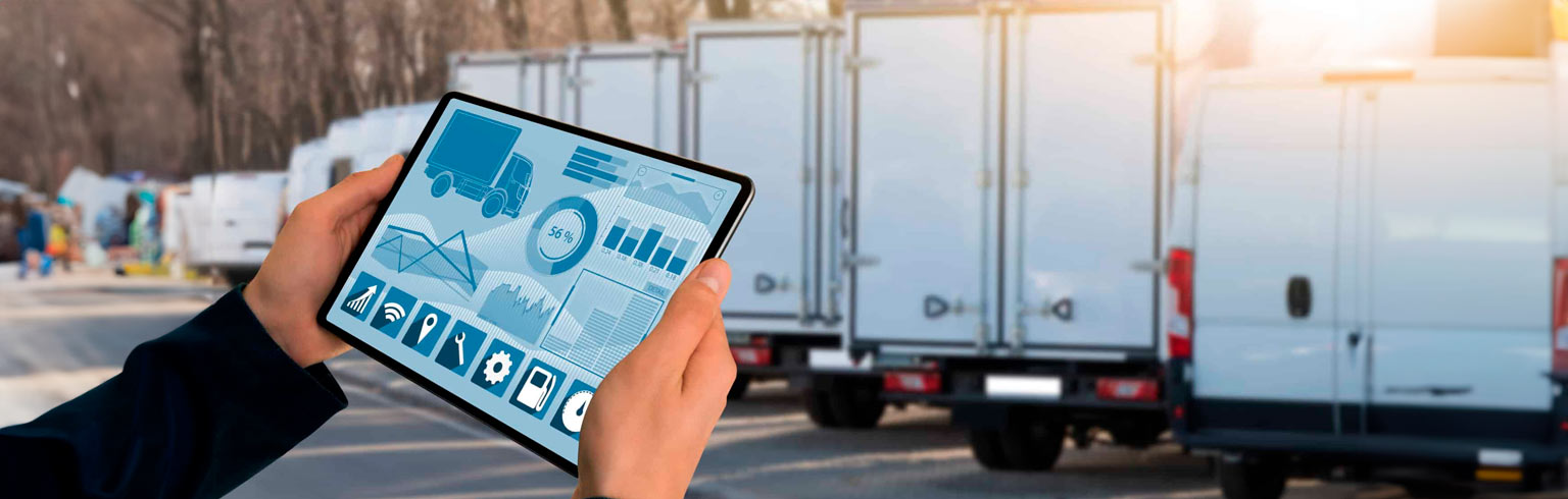 perfil_gestor_flotas